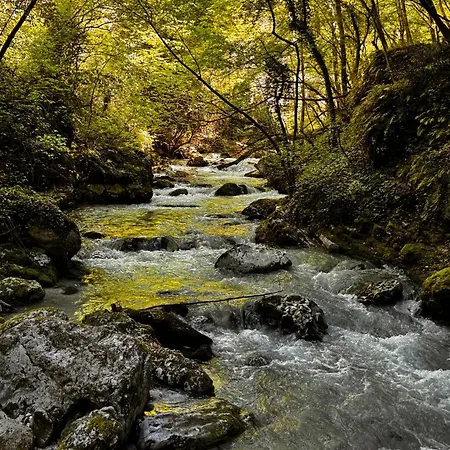 Appartamento La Quercia