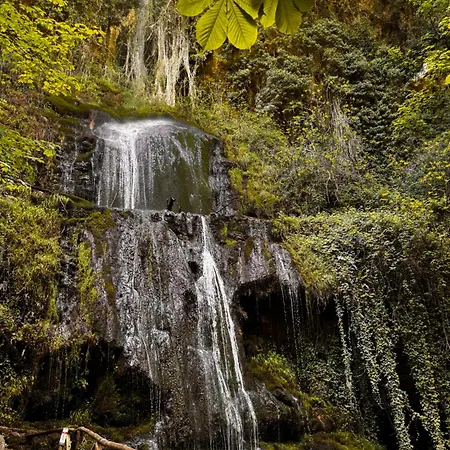 La Quercia Apartament